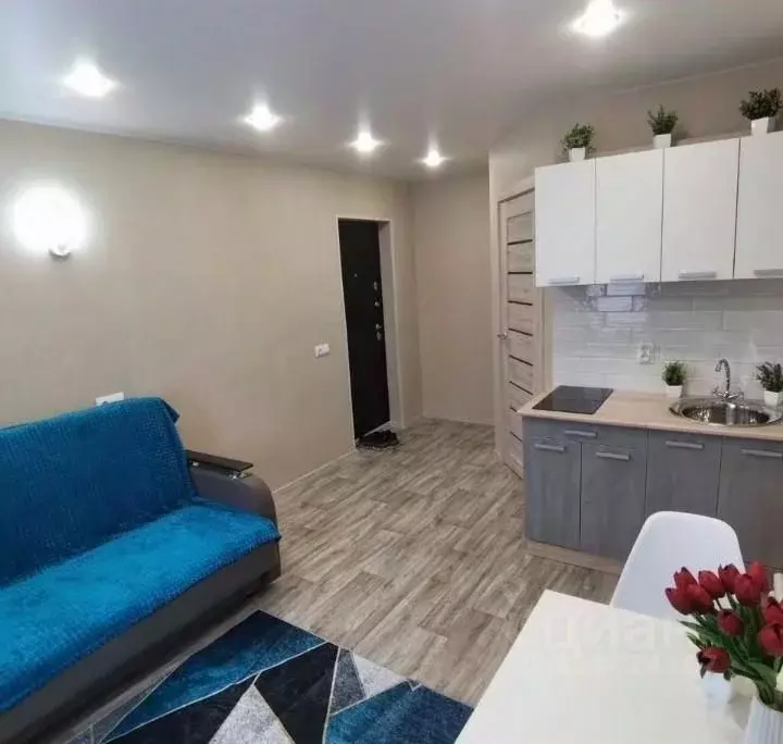 Студия Ивановская область, Иваново Профессиональная ул., 35 (17.0 м) - Фото 2