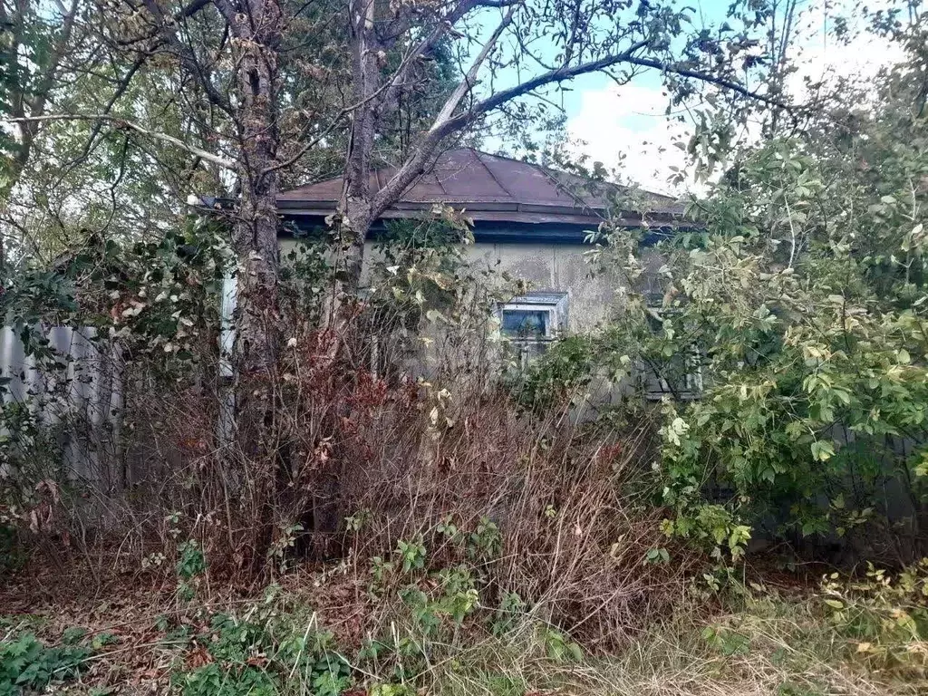 Дом в Белгородская область, Новооскольский муниципальный округ, с. ... - Фото 1