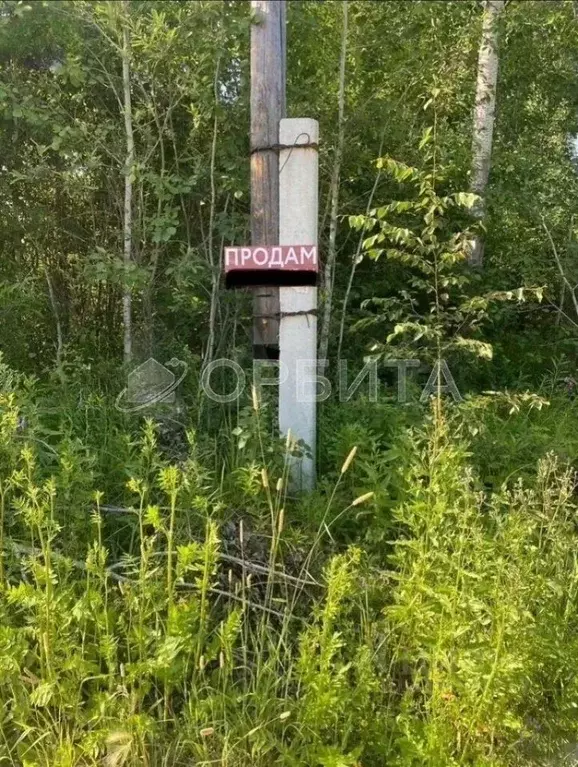 Участок в Тюменская область, Нижнетавдинский район, Сочинские СНТ 27-я ... - Фото 1