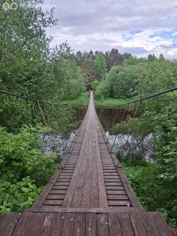 Участок в Бокситогорский район, Большедворское сельское поселение, ... - Фото 1