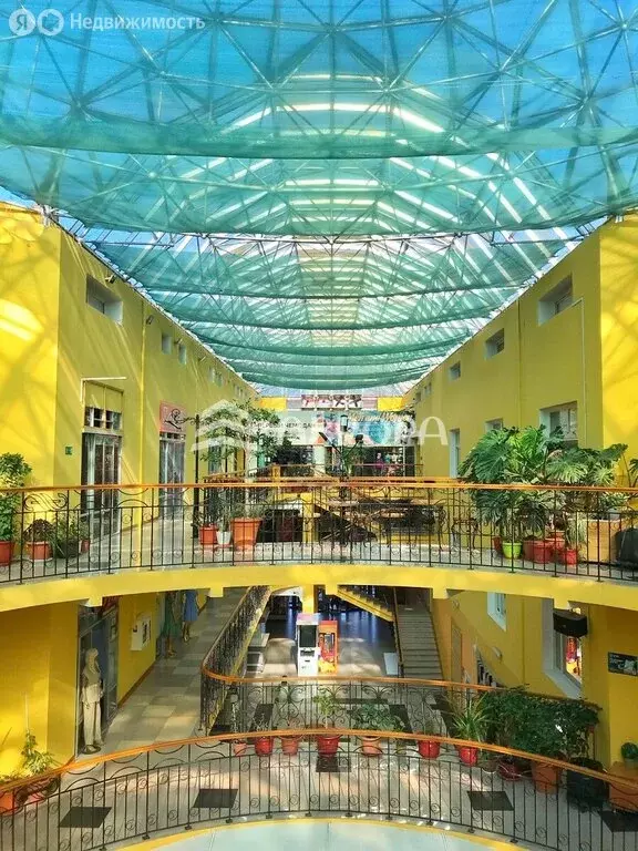 Торговая площадь (21.5 м) - Фото 2