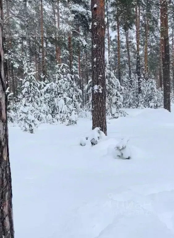 Участок в Ивановская область, Ивановский район, Куликовское с/пос, д. ... - Фото 0