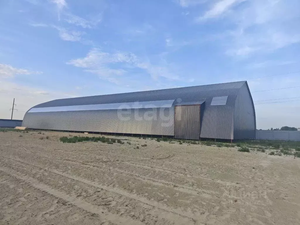 Склад в Московская область, Раменский муниципальный округ, Промпарк ... - Фото 1