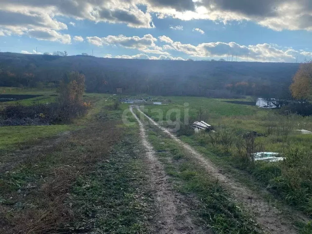 Участок в Белгородская область, Белгородский район, Беловское с/пос, ... - Фото 1