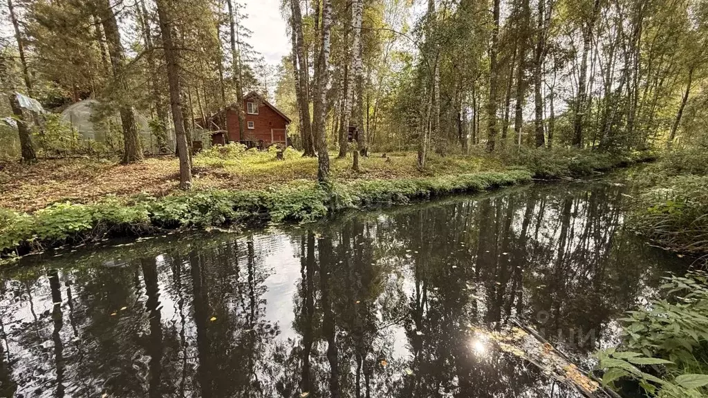 Участок в Московская область, Электроугли Богородский городской округ, ... - Фото 1