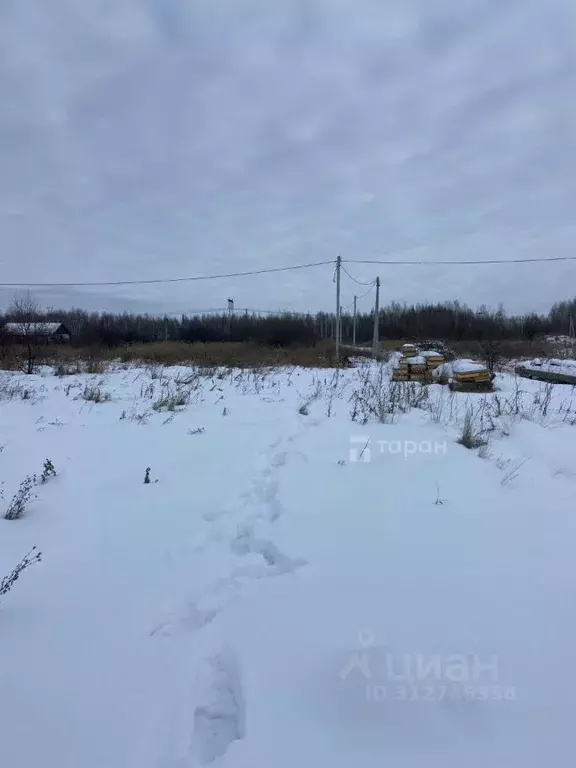 Участок в Челябинская область, Сосновский район, Кременкульское с/пос, ... - Фото 1