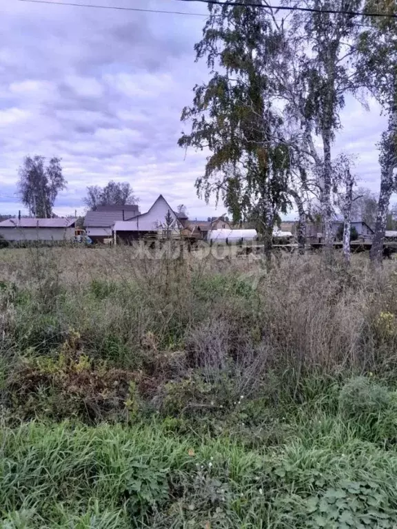 Участок в Новосибирская область, Ордынский район, с. Вагайцево ... - Фото 0