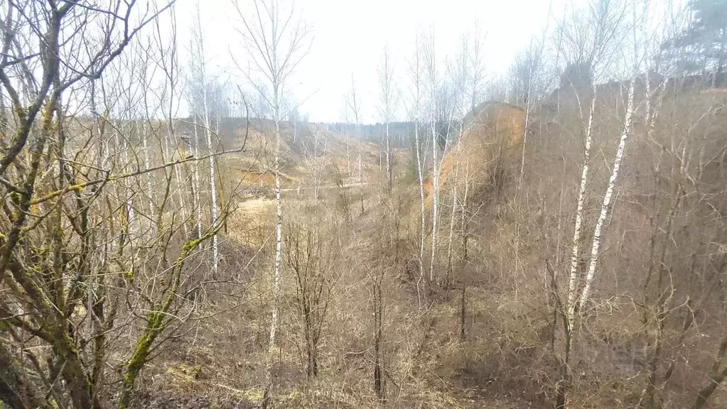 Участок в Московская область, Рузский муниципальный округ, д. ... - Фото 1