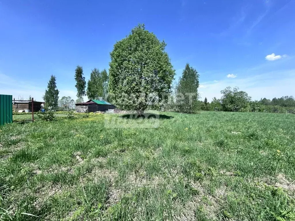 Участок в Вологодская область, Шекснинский муниципальный округ, д. ... - Фото 2