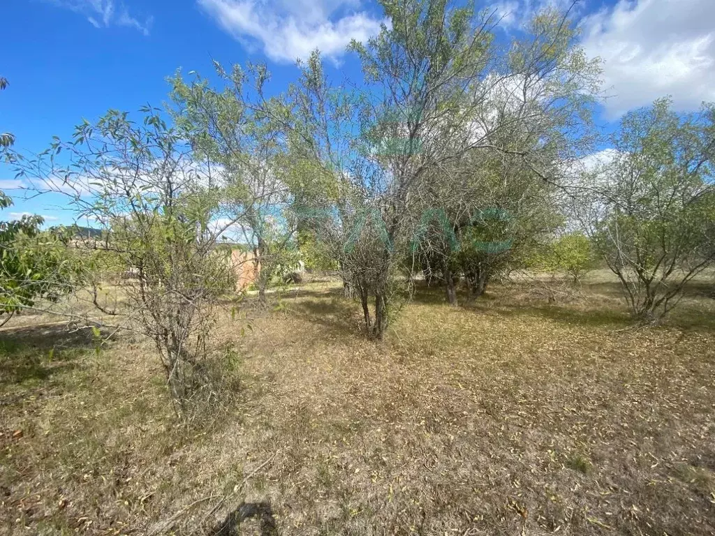 Участок в Крым, Симферопольский район, Перовское с/пос, Рино СТ 13 ... - Фото 2