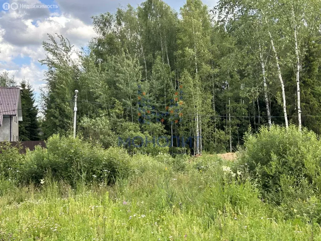 Участок в Московская область, городской округ Солнечногорск, СНТ ... - Фото 1