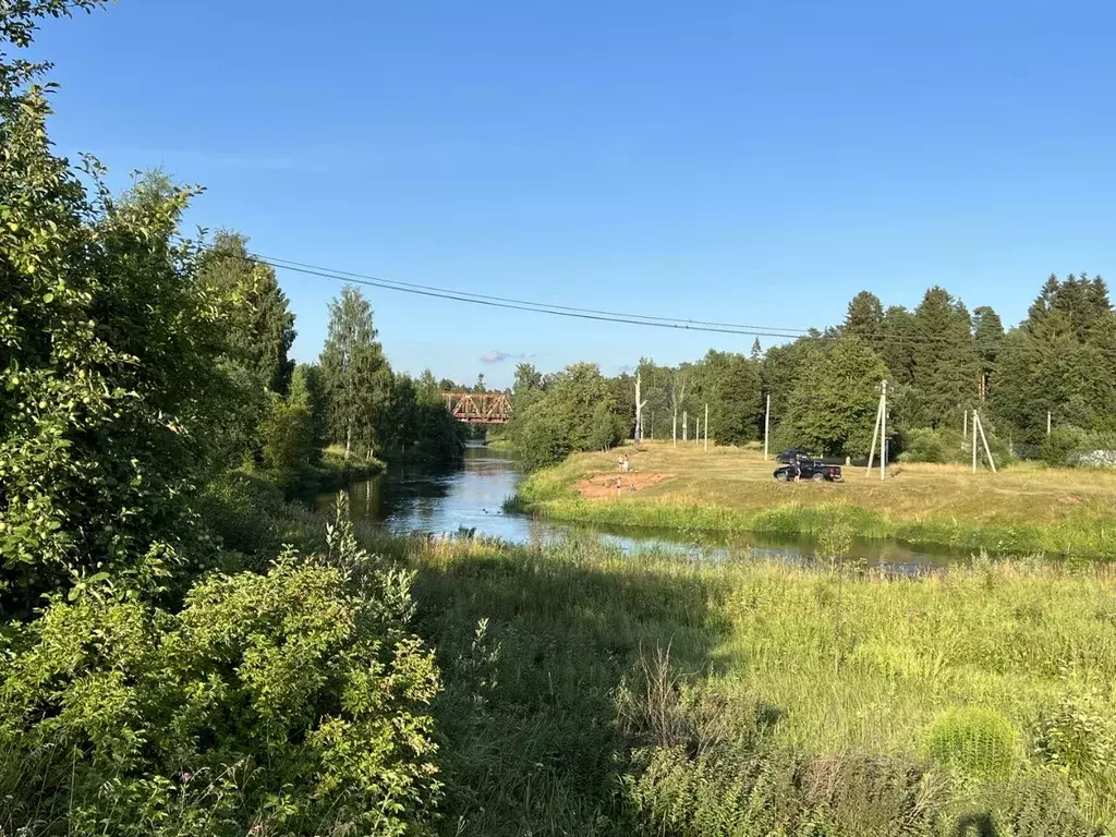 Участок в Ленинградская область, Гатчинский муниципальный округ, ... - Фото 1
