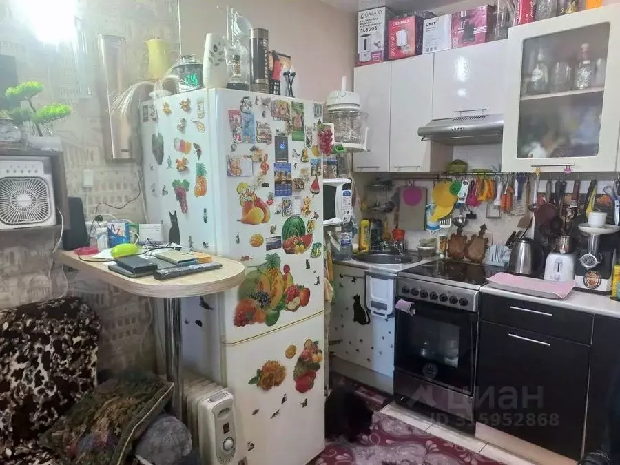 Студия Новосибирская область, Новосибирск ул. Виктора Уса, 15 (19.7 м) - Фото 1