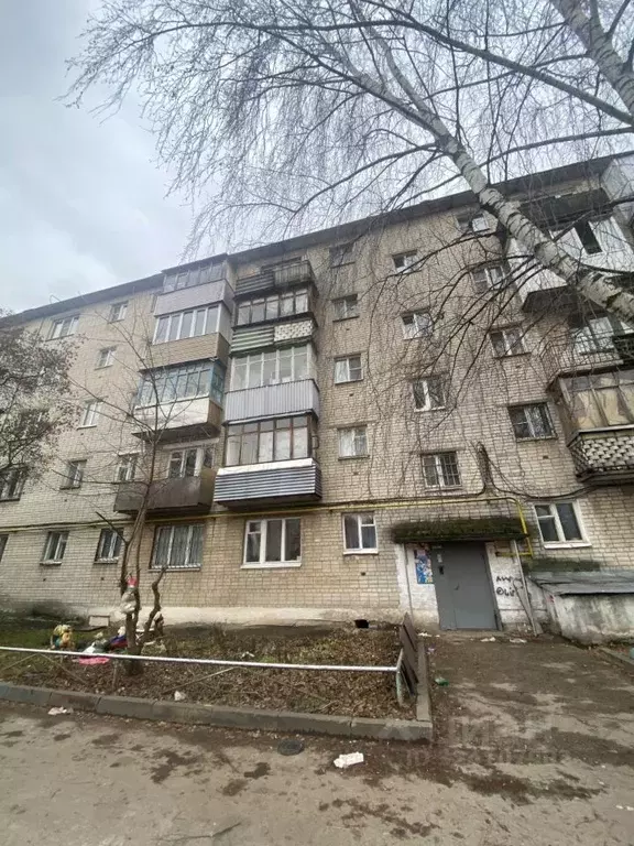 1-к кв. Нижегородская область, Кстово 2-й мкр, 25 (21.8 м) - Фото 1