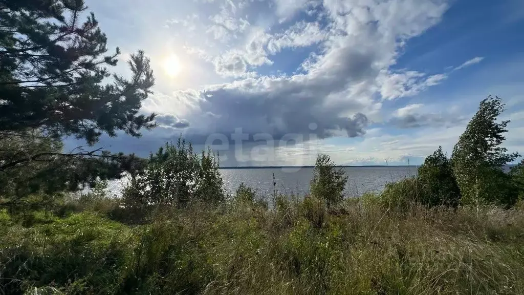 Участок в Нижегородская область, Сокольский муниципальный округ, ... - Фото 1