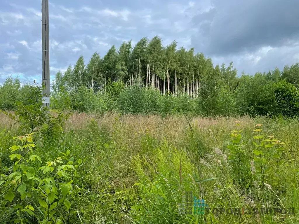 Купить Участок В Деревне Нижегородской Области