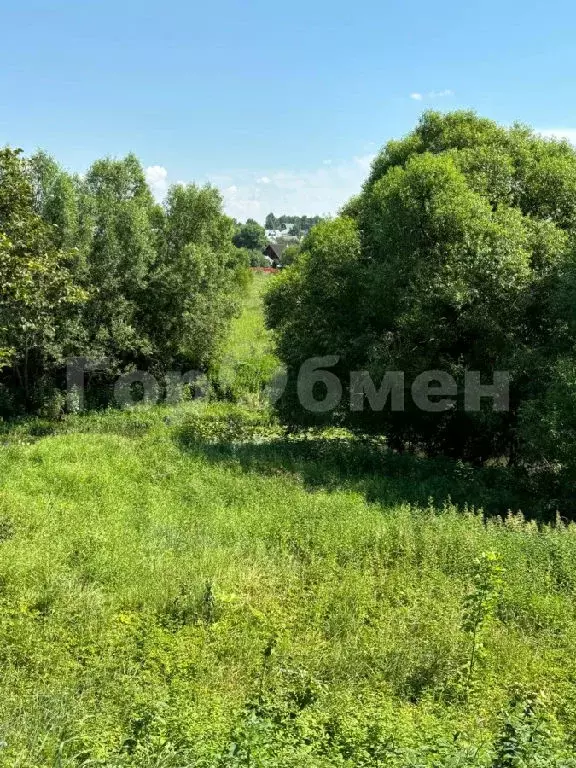 Продается участок в д. Губцево - Фото 1