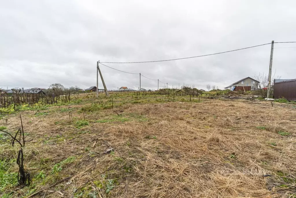 Участок в Ленинградская область, Тосненский район, Федоровское ... - Фото 1