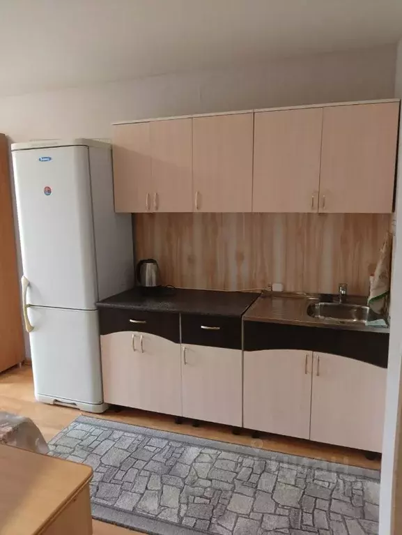 Студия Курганская область, Курган ул. Радионова, 12 (20.0 м) - Фото 1