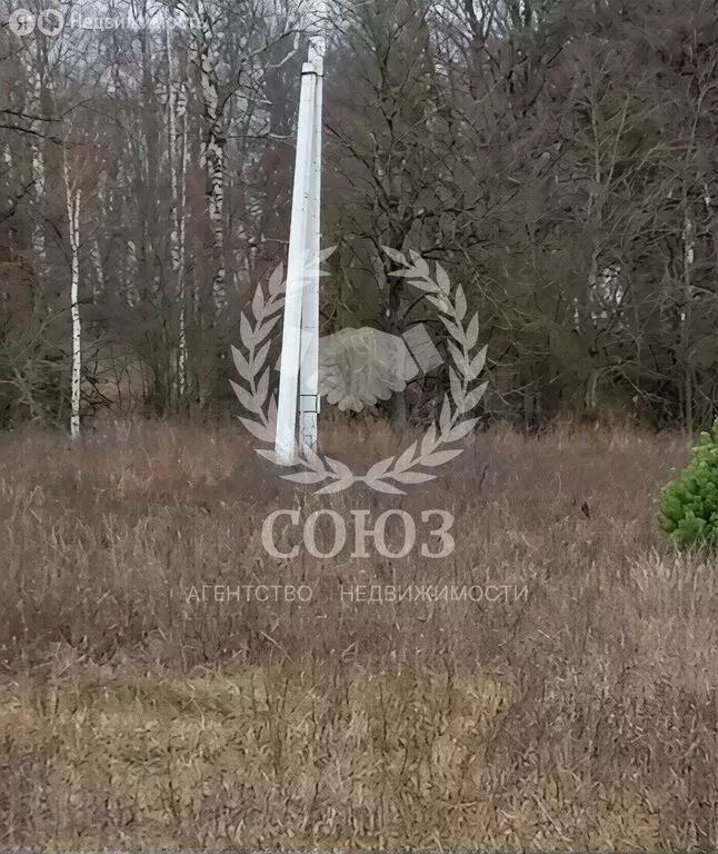 Участок в Калужская область, Боровский муниципальный округ, деревня ... - Фото 2