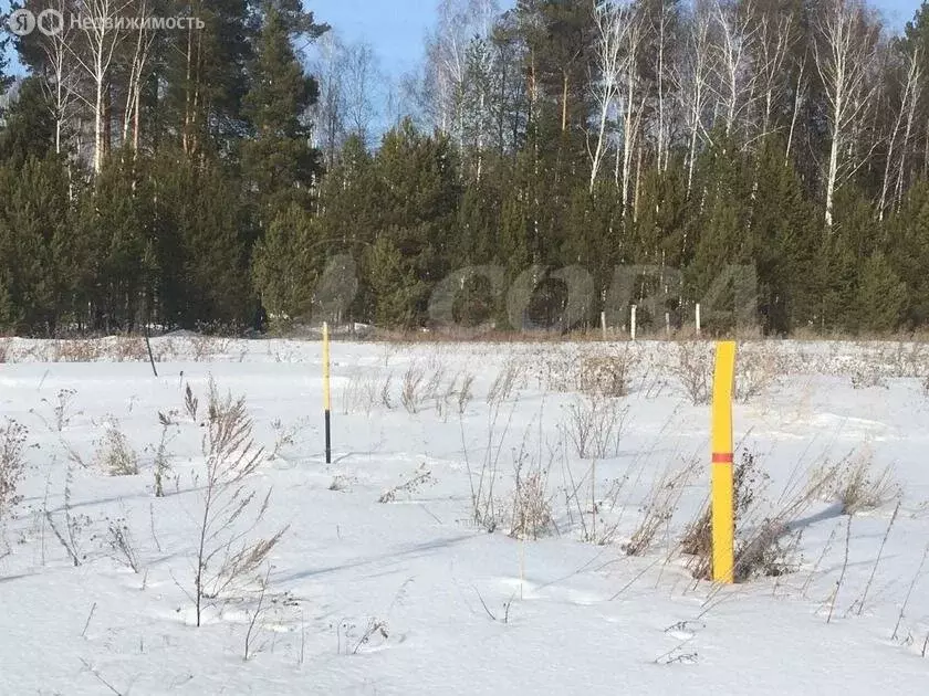 Участок в Тюменская область, Нижнетавдинский муниципальный округ, село ... - Фото 2