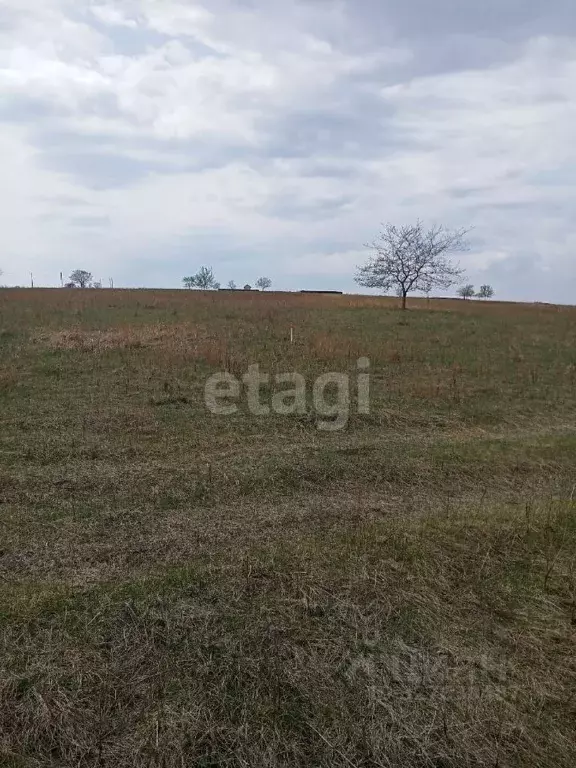 Участок в Красноярский край, Сосновоборский муниципальный округ, с. ... - Фото 1