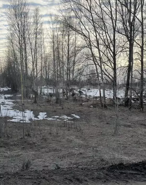 Участок 10 сот. (ИЖС) - Фото 0
