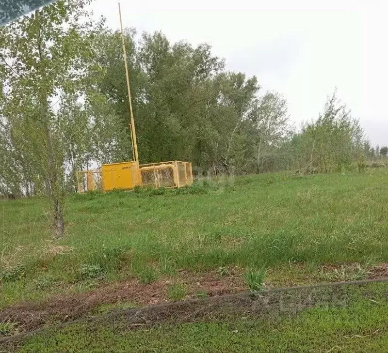 Участок в Алтайский край, Первомайский район, пос. Новый ул. ... - Фото 2