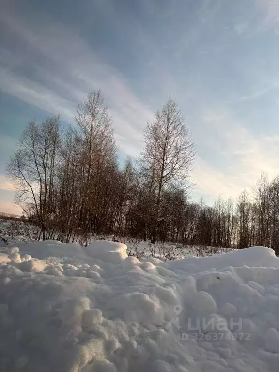 Участок в Московская область, Ступино городской округ, с. Федоровское ... - Фото 1