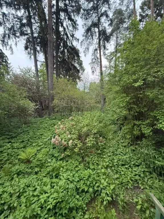 Участок в Московская область, Наро-Фоминский городской округ, д. ... - Фото 0
