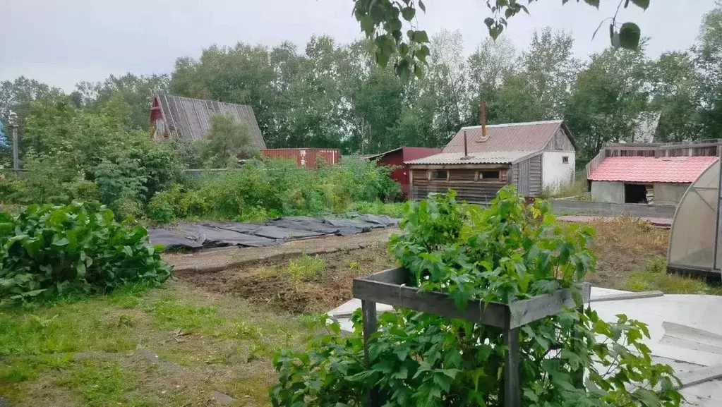 Дом в Камчатский край, Елизово Березка Многоотраслевого Предприятия ... - Фото 1