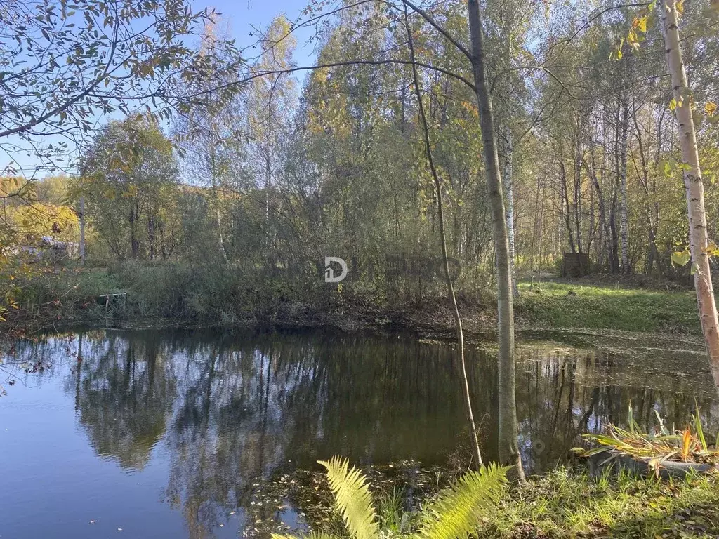 Участок в Ярославская область, Ярославский муниципальный округ, д. ... - Фото 1