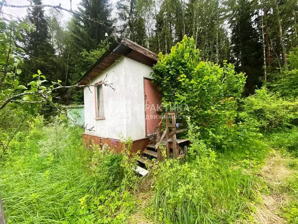 Дом в Богородский городской округ, СНТ Лотос-2, 43 (58 м) - Фото 0