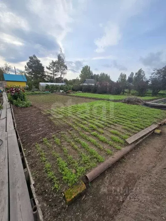 Дом в Хабаровский край, Комсомольский район, Галичное СНТ ул. ... - Фото 1