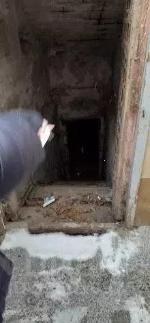 Помещение свободного назначения в Воронежская область, Воронеж ул. ... - Фото 1