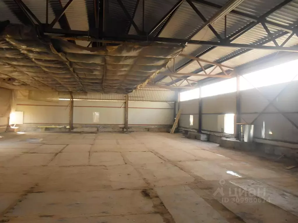 Склад в Новгородская область, Великий Новгород Псковская ул., 159 ... - Фото 1