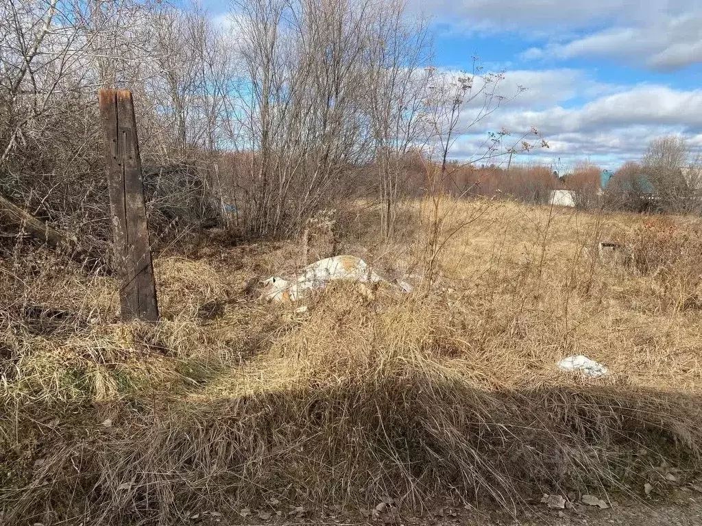 Участок в Иркутская область, Усольский район, Большееланское ... - Фото 1