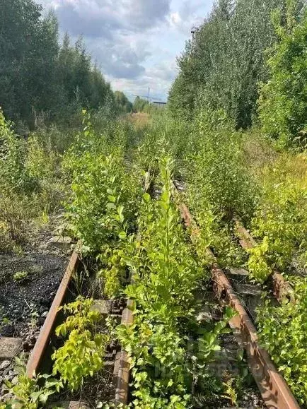 Производственное помещение в Санкт-Петербург ЗимаЛето жилой комплекс ... - Фото 1