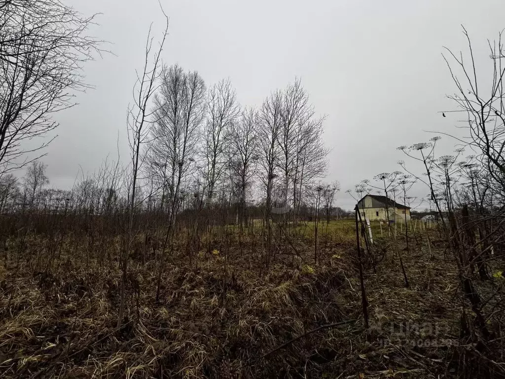 Участок в Тверская область, Калининский муниципальный округ, с. ... - Фото 2