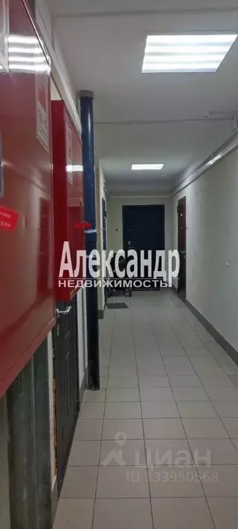 Студия Ленинградская область, Мурино Всеволожский район, бул. ... - Фото 2