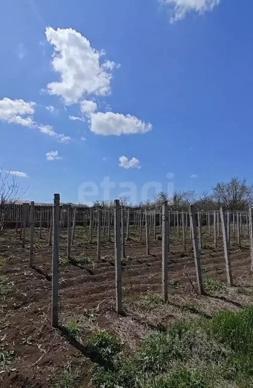 Участок в Крым, Сакский район, Новофедоровка пгт ул. Строителей (6.0 ... - Фото 1