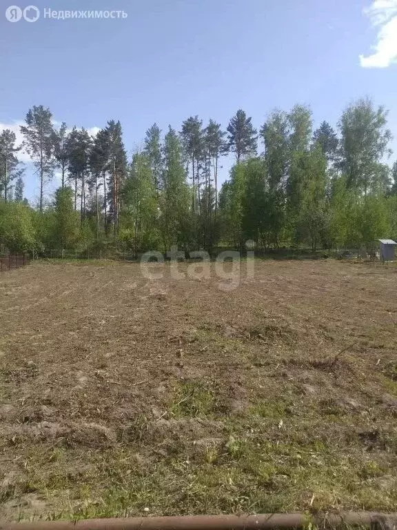 Участок в Барышевский сельсовет, садоводческое некоммерческое ... - Фото 0