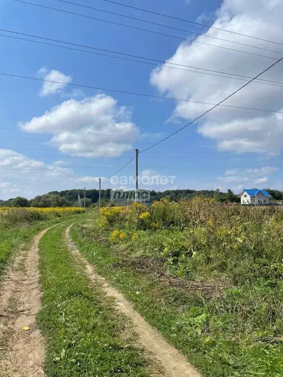 Участок в Смоленская область, Смоленский муниципальный округ, д. ... - Фото 2