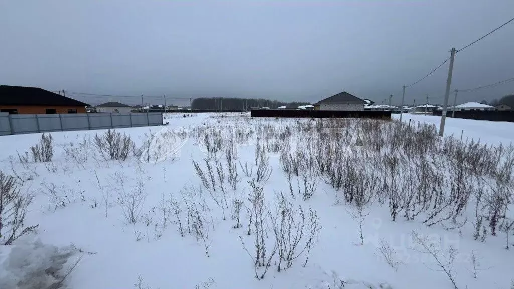 Участок в Тюменская область, Тюменский муниципальный округ, с. Кулига, ... - Фото 2