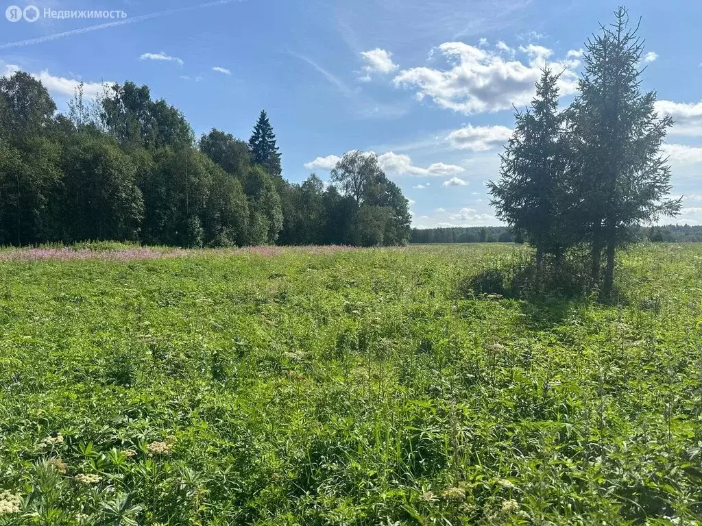 Участок в Московская область, городской округ Клин, деревня Вертково ... - Фото 0