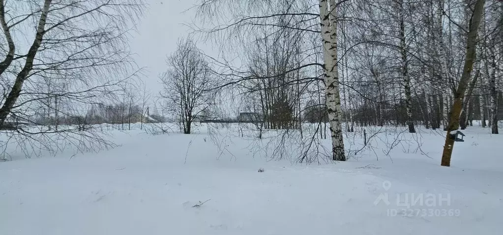 Участок в Московская область, Луховицы  (9.81 сот.) - Фото 2