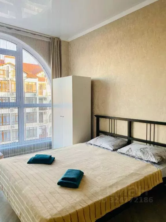 Студия Краснодарский край, Геленджик Крымская ул., 22к1 (27.0 м) - Фото 2