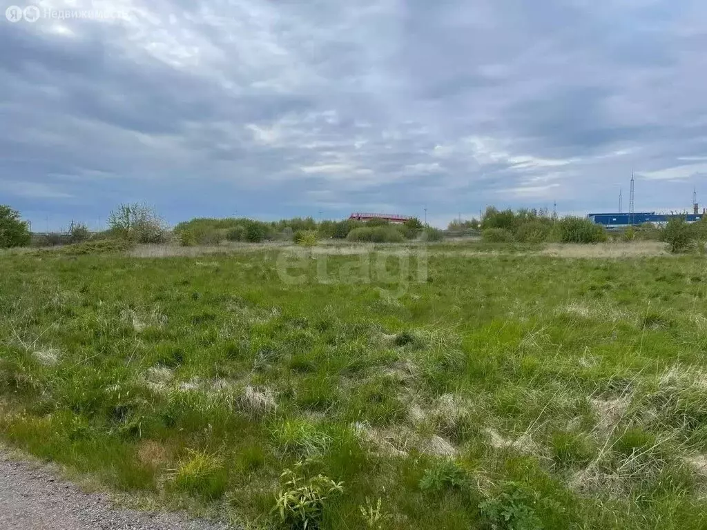 Участок в Гурьевск, СНТ Надежда-2 (5.37 м) - Фото 2
