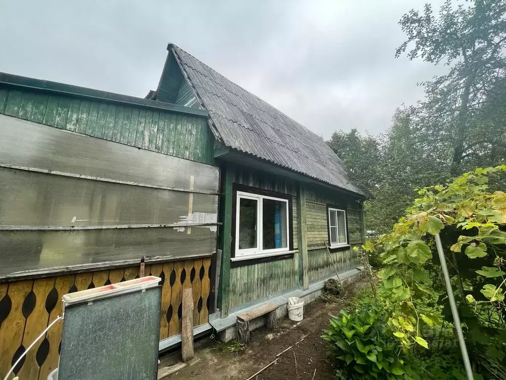 Дом в Псковская область, Опочецкий муниципальный округ  (36 м) - Фото 2