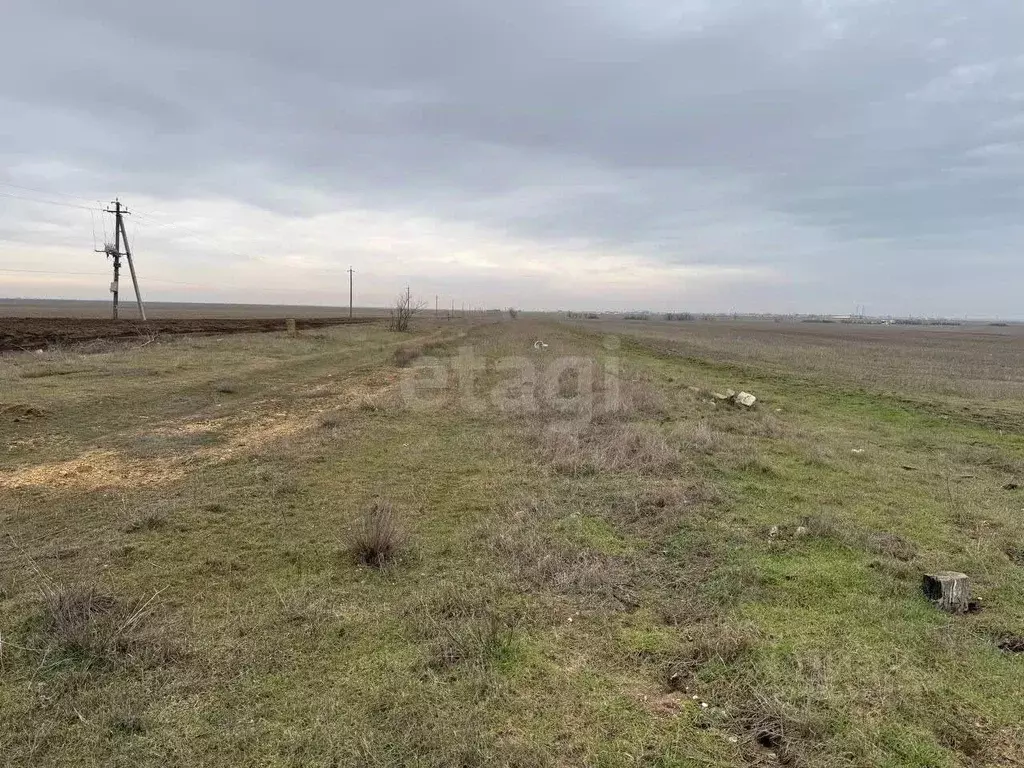 Участок в Крым, Сакский район, с. Молочное  (30.0 сот.) - Фото 1